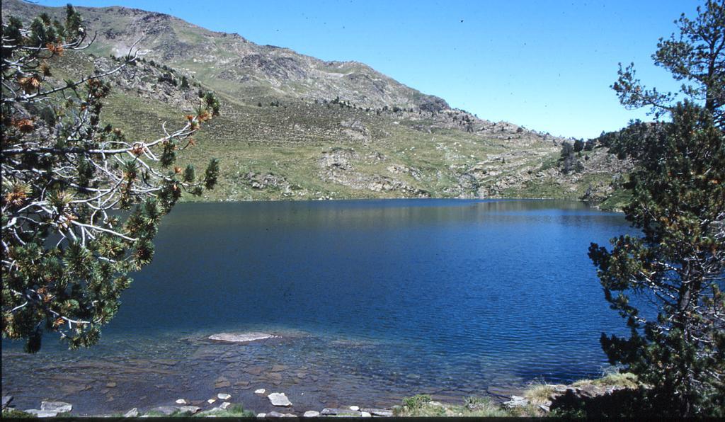 La Coberta-Lo Paller Del Coc Rialp Bagian luar foto